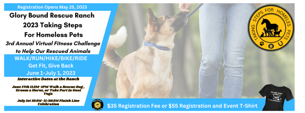 3rd Annual Taking Steps for Homeless Pets